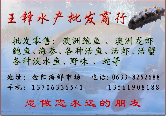 濮阳水产海鲜批发市场_京深海鲜市场融侨水产_湛江海鲜批发市场(3)