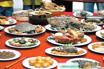 ��������� ���ʺϳԻ�����ʳ��·