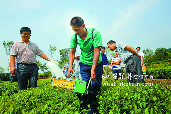 2014�����в�Ҷ��е����ժ�ֳ����ٿ�