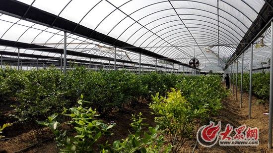 ԰�����أ����մ����� ����ǿ �㣩