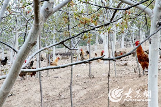 ������������������