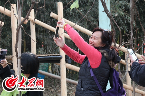 2.千家旅行社日照踩线系列活动在东港举行 2.千家旅行社日照踩线系列活动在东港举行