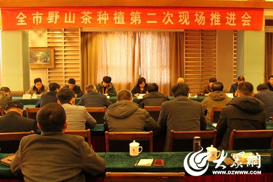 5、召开全市野山茶种植第二次推进会